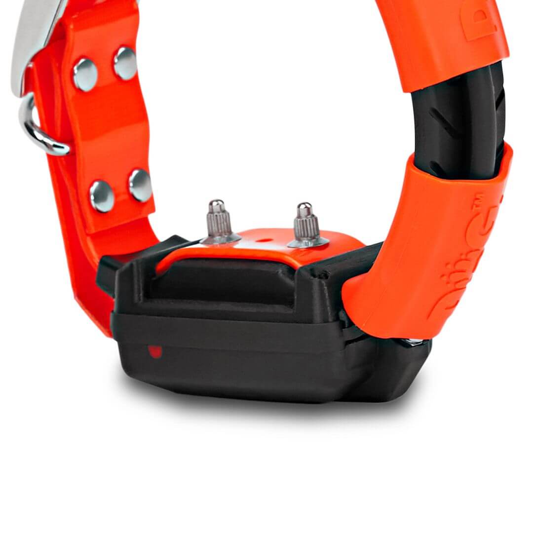 Dog Trace GPS X30T Additional Collar Orange (Incl.Battery Charger)