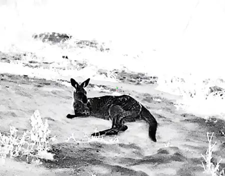 Guide TE211 Thermal Monocular