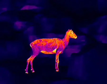 Guide TE211 Thermal Monocular