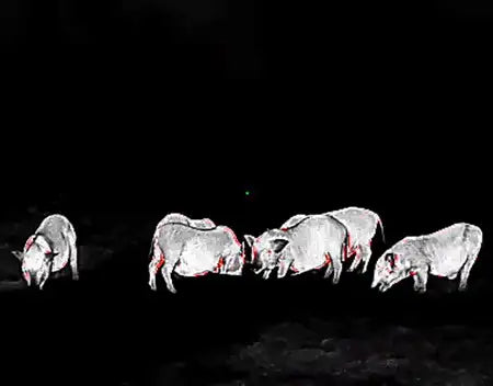 Guide TE411 Thermal Monocular