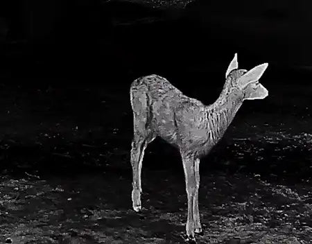 Guide TE421 Thermal Monocular